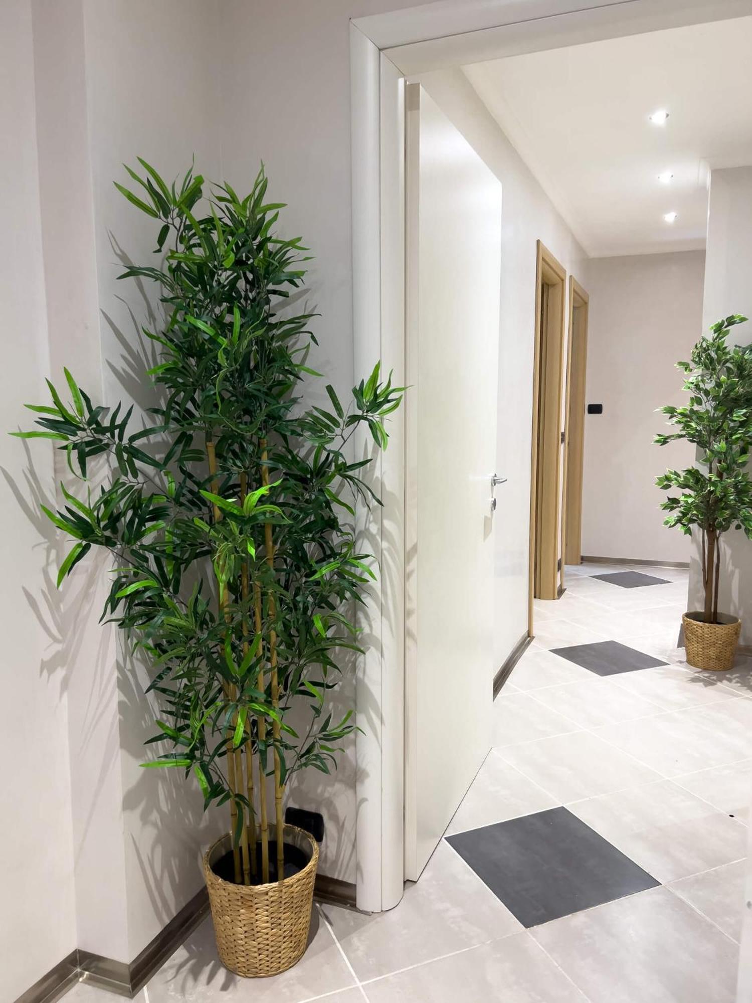 Sofia Guest House Рим Екстер'єр фото