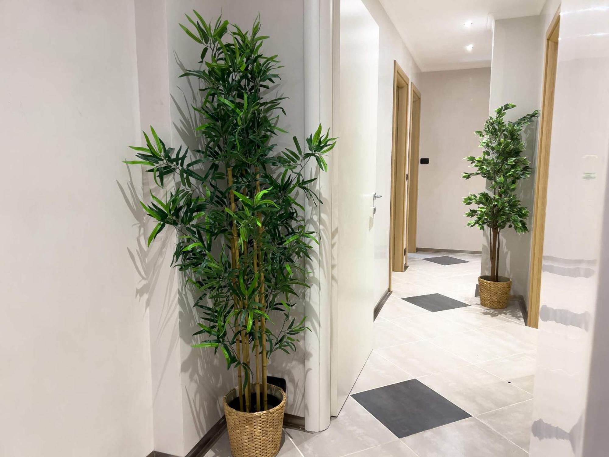 Sofia Guest House Рим Екстер'єр фото
